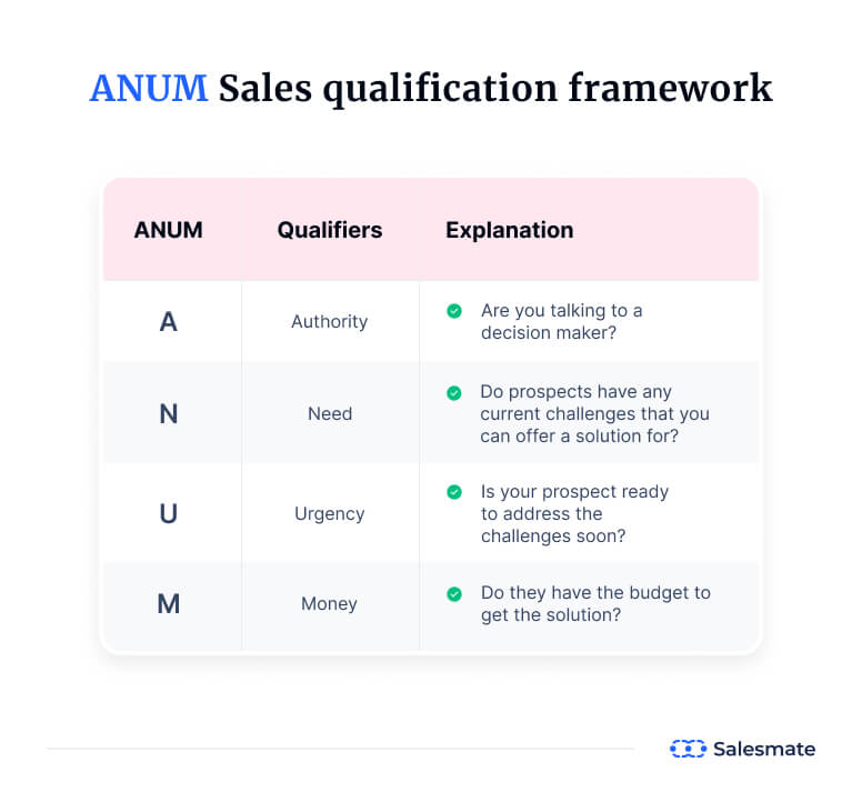 ANUM Sales qualification framework