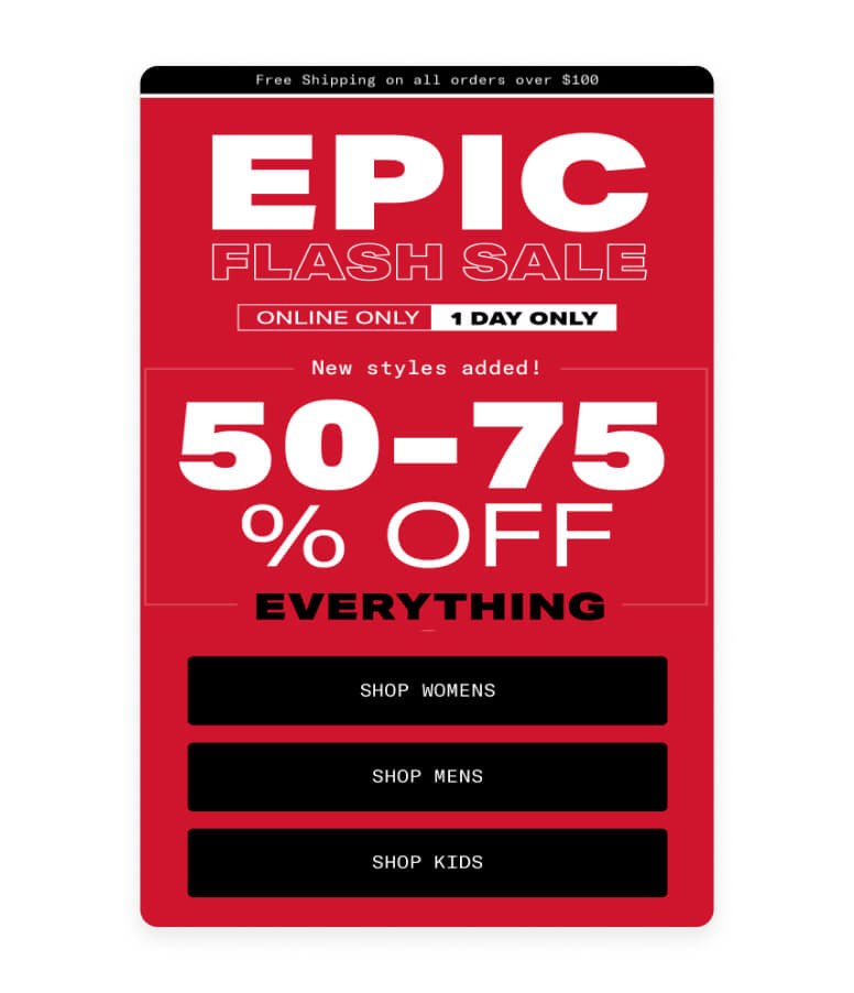 Flash sales email example